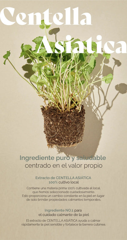 Soondy Centella Essence — Rutina Suave