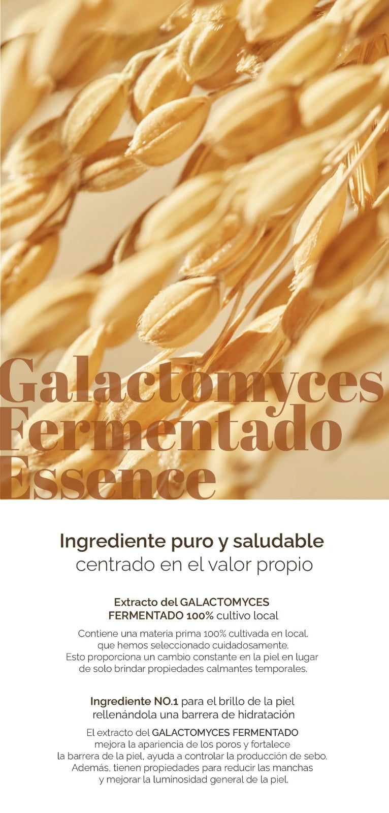 Galactomyces Ferment Essence — Glow Ligero